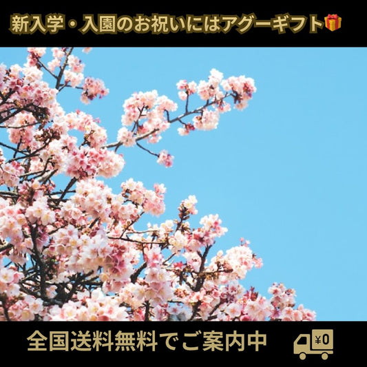 新入学・入園のお祝いにはアグーギフト🎁