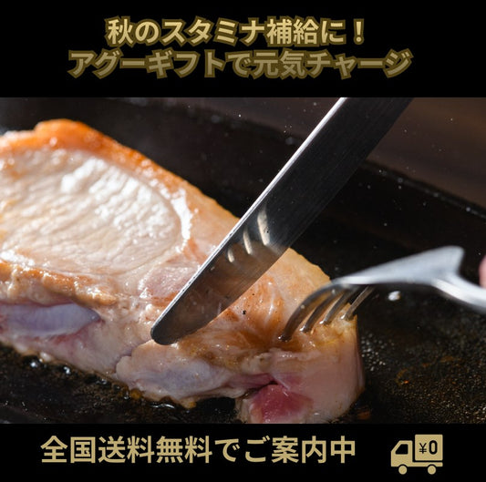 秋のスタミナ補給に!アグーギフトで元気チャージ